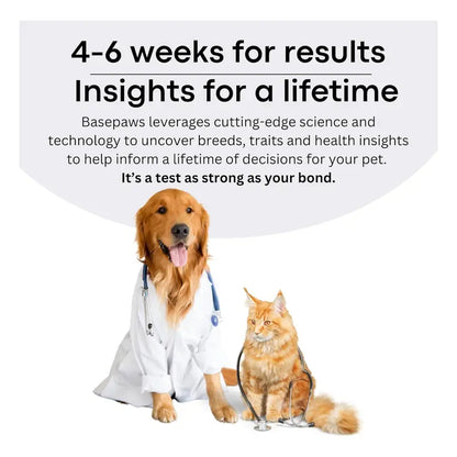 Avilara Breed + Health Cat DNA Test