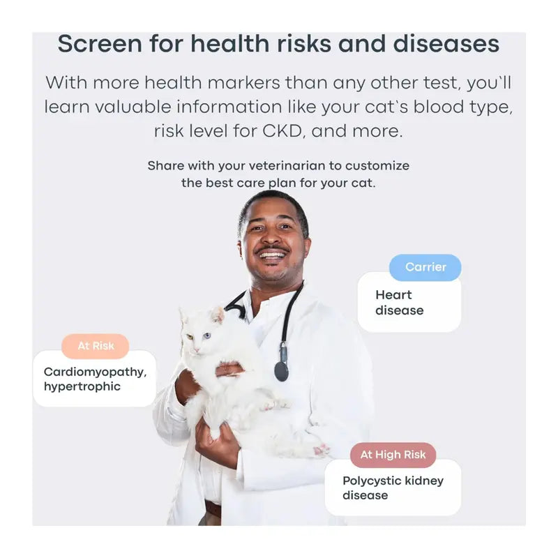 Avilara Breed + Health Cat DNA Test