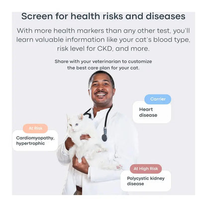 Avilara Breed + Health Cat DNA Test
