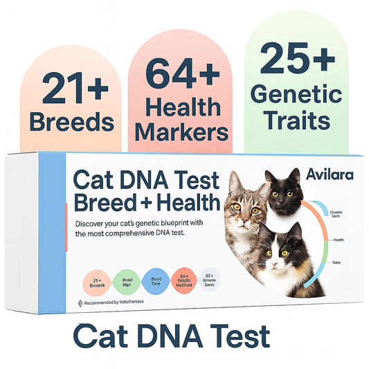 Avilara Breed + Health Cat DNA Test